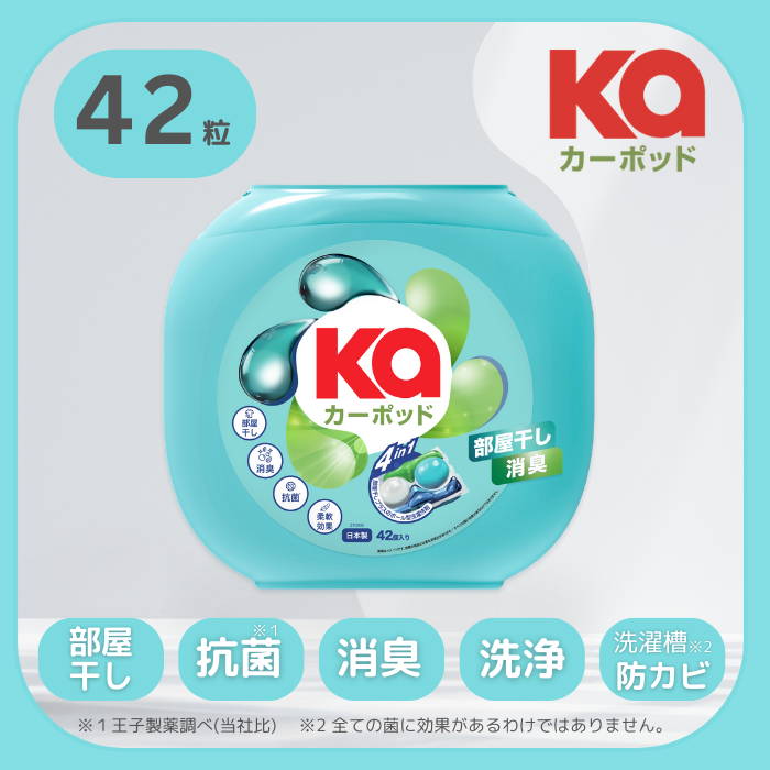 【42粒】カーポッド 部屋干しEX 本体