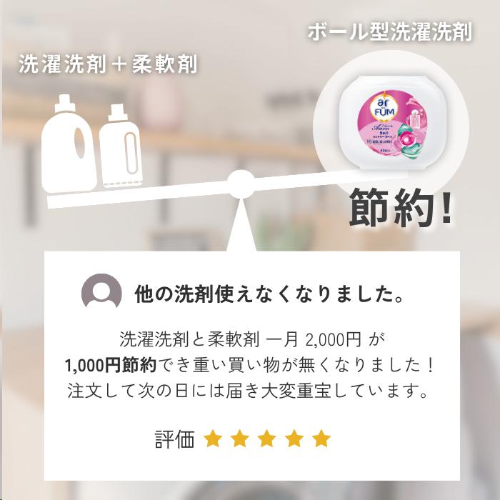 【17粒】ミニギフト ボール洗濯洗剤型 詰め替え用