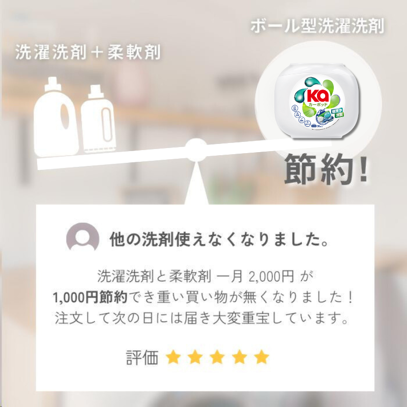 【20粒】カーポッド 本体