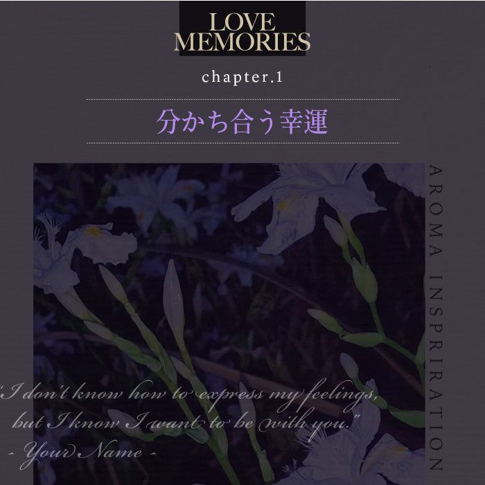 【900ml×2】アフューム(arFUM) 柔軟剤 ブラックレーベル (Black Label) ロマンティック アイリス (IRIS) バニラ&カカオの優しい香り本体