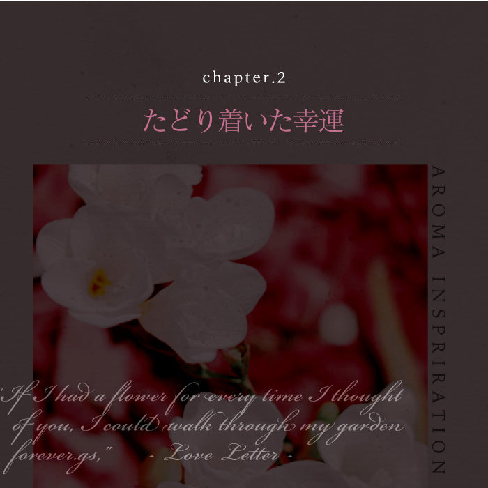 【900ml×3】アフューム(arFUM) 柔軟剤 ブラックレーベル (Black Label) ラブリーブリス (BLISS) レッドベリー&ラズベリーの香り 本体