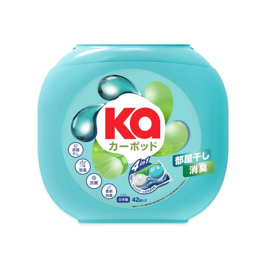 【42粒】カーポッド 部屋干しEX 本体
