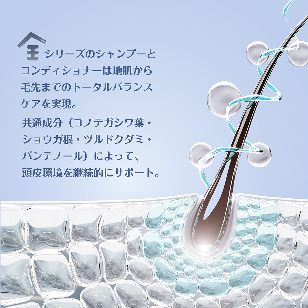 【セット】Seika全 シャンプー 400ml + Seika全 コンディショナー 400ml Seika Pore Care Shampoo + Conditioner ノンシリコンシャンプー アミノ酸系洗浄成分 ナイアンシンアミド スカルプケア(セイカゼン ZEN)