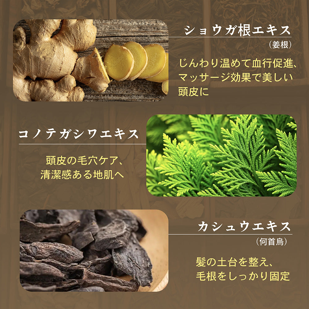 【400ml】Seika 全 シャンプー Seika Pore Care Shampoo