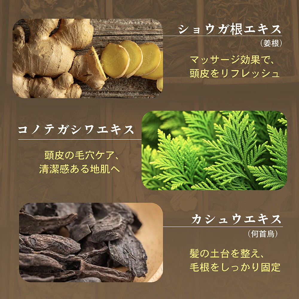 【250ml】Seika全 シャンプー Seika Pore Care Shampoo