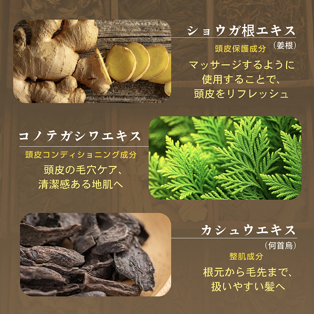 【お試しセット】Seika全 シャンプー + Seika全 コンディショナー   10ml×各7袋セット Seika Pore Care Shampoo + Conditioner (セイカゼン ZEN)