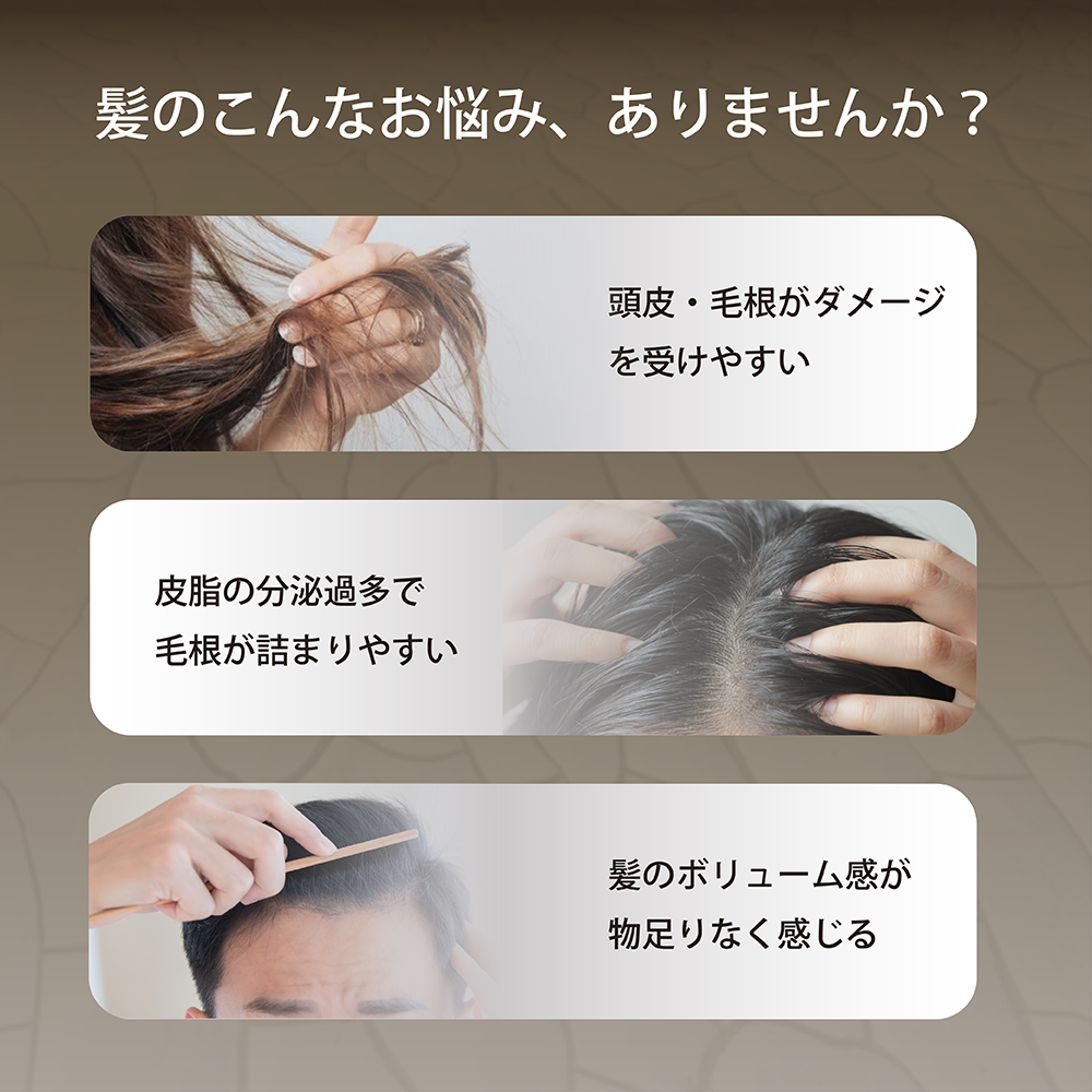 【お試しセット】Seika全 シャンプー + Seika全 コンディショナー   10ml×各7袋セット Seika Pore Care Shampoo + Conditioner (セイカゼン ZEN)