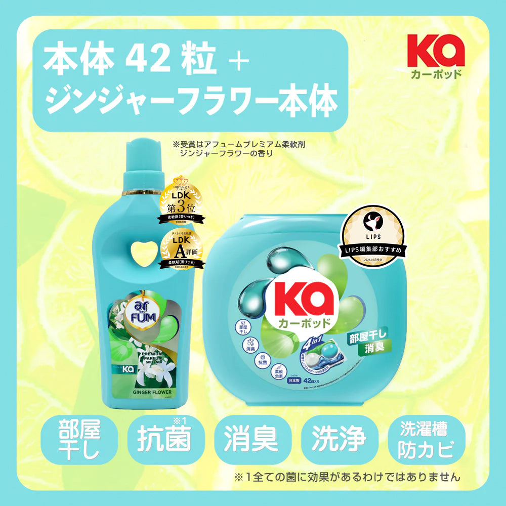【セット】カーポッド 部屋干しEX 42粒 本体＋アフューム 柔軟剤 タッチオブカー ジンジャーフラワー 1000mL 本体(柔軟剤)