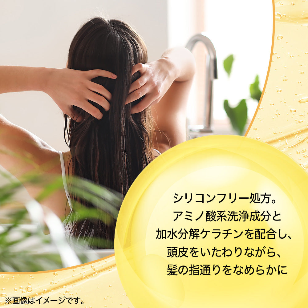 【シャンプー】Naシャンプー モイスチャー＆シャイン ナツシロギク＆アメリカ人参 ベルガモットとカモミールの香り 550ml