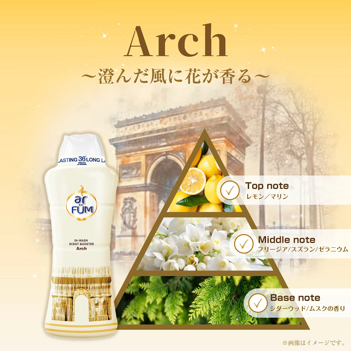 【洗濯から掃除までこのセットで解決！】汗・ニオイ爽快ケア セット 洗濯洗剤&ウェットシートセット