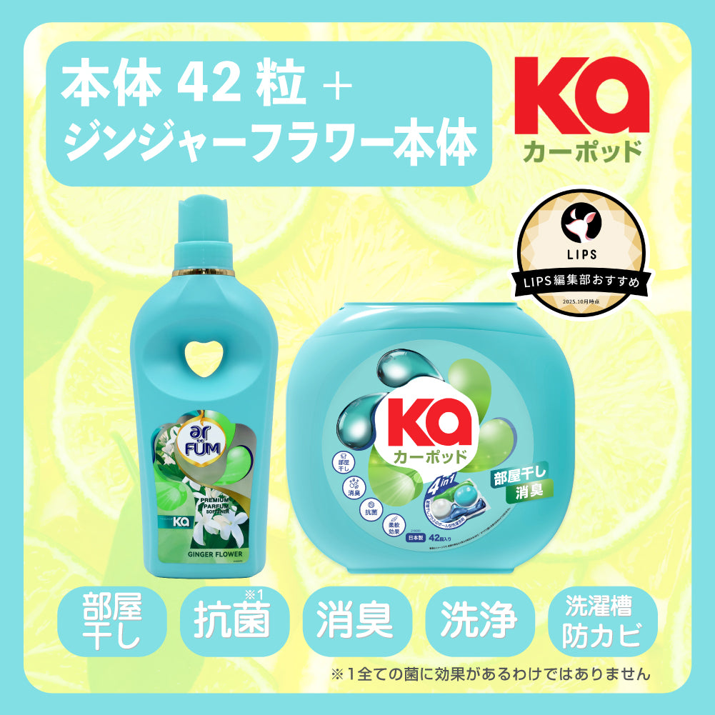【セット】カーポッド 部屋干しEX 42粒 本体＋Touch of Ka 1000ml 本体(柔軟剤)